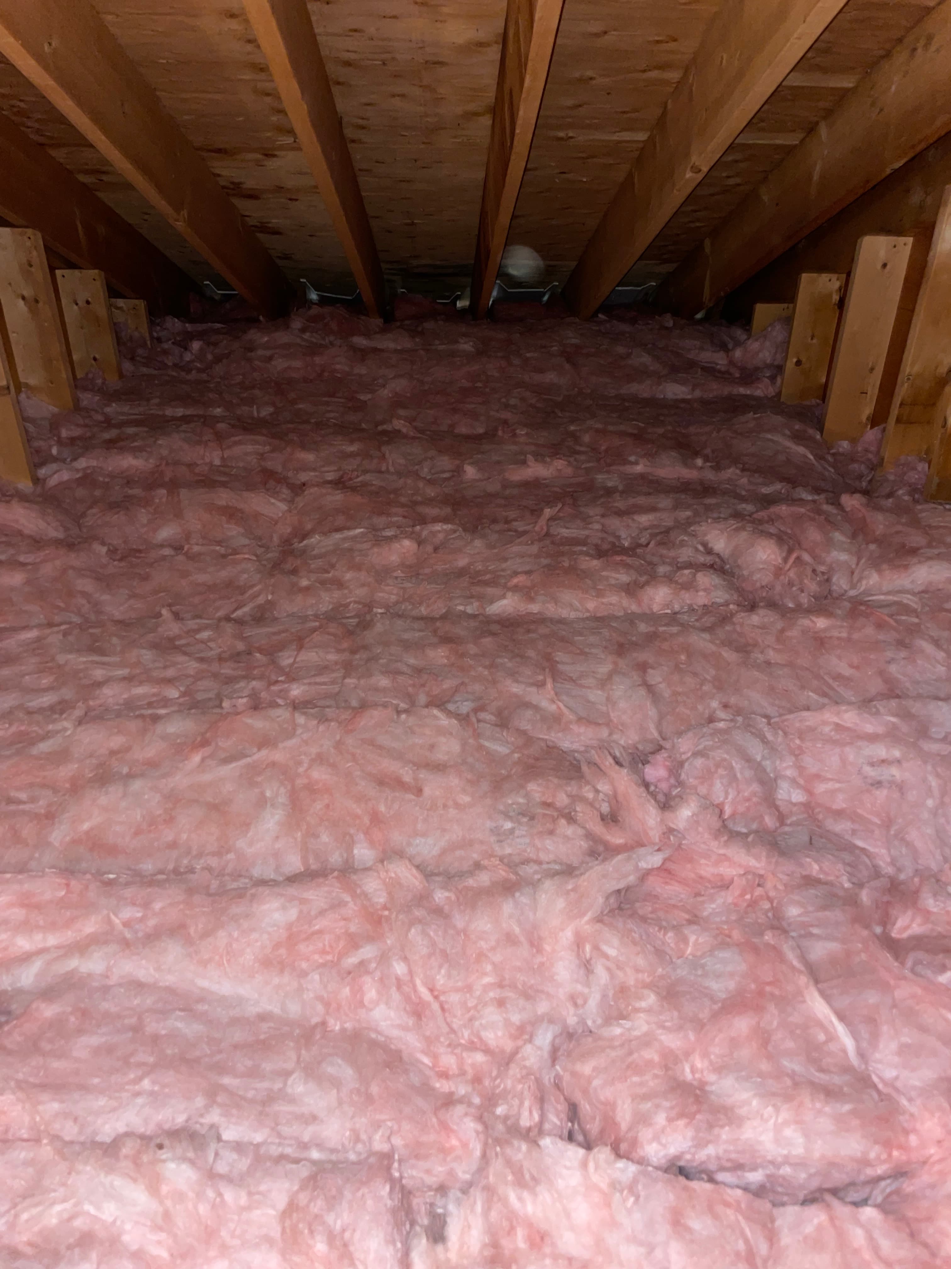 Insulation Services
